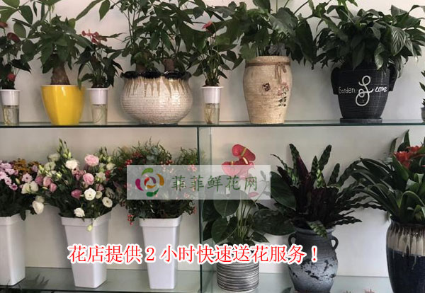 新乡辉县市花店提供新乡辉县市2小时快速送花服务