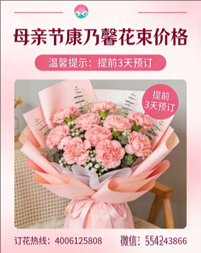 新乡辉县市花店母亲节康乃馨花束