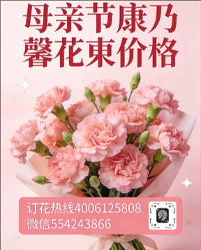 新乡辉县市花店母亲节康乃馨花束